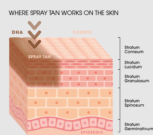 nyscc suppliers day on 2023